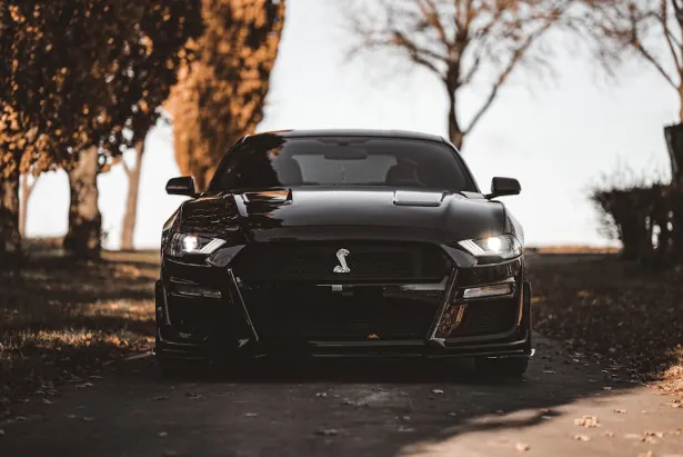 Casino Golden Palace Android/iOS App